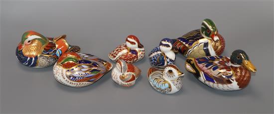 A collection of eight Crown Derby duck paperweights
